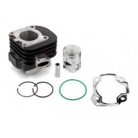 (33796) Cilindro Airsal (50cc Hierro) CAN AM DS 50
