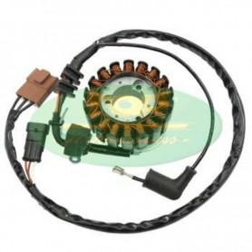 STATOR TOP PERFORMANCES PIAGGIO BEVERLY 250 IE E3 (M288) ST00023